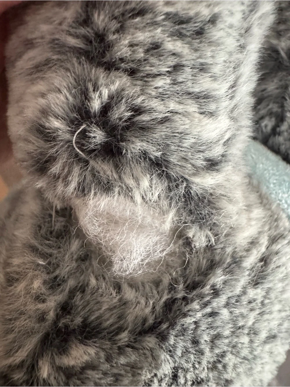 Petsmart soft gray